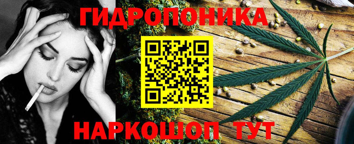 Канабис планчик  Шишки марихуана марихуана  Вход с VPN  Конопля семена  Белорецк 